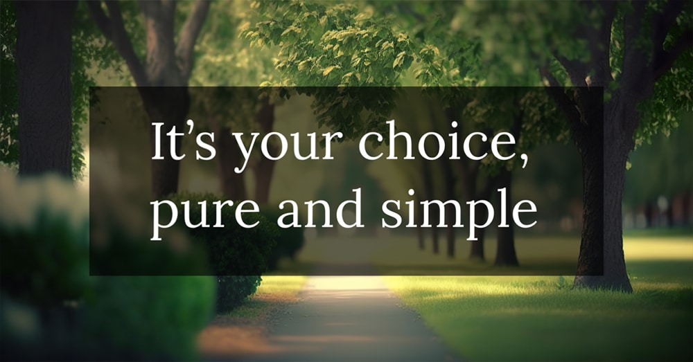 exeter-direct-cremations Direct Cremations Exeter