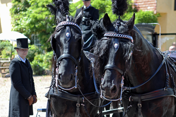 funeral-directors-in-honiton