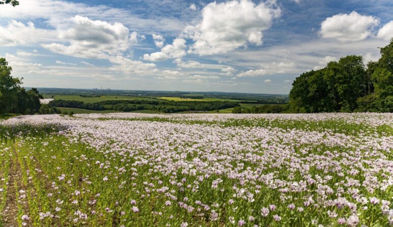 funeral-services-exmouth Funeral Services Exmouth