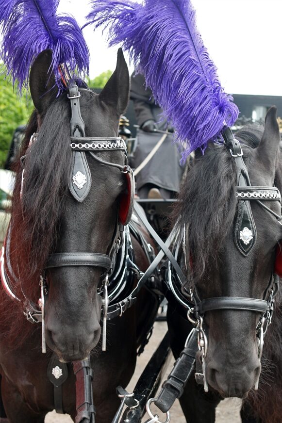 funeral_services-honiton Funeral Services Honiton