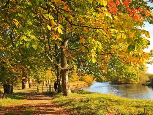 funeral_services_exeter