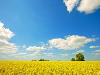 Funeral Directors Honiton