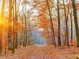 Funeral Services Exmouth